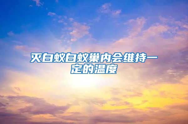 灭白蚁白蚁巢内会维持一定的温度