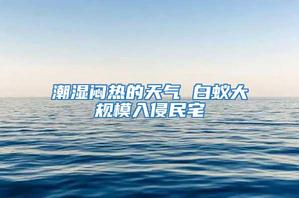 潮湿闷热的天气 白蚁大规模入侵民宅