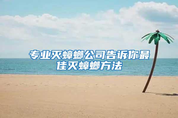 专业灭蟑螂公司告诉你最佳灭蟑螂方法