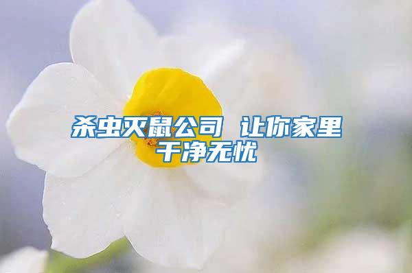 杀虫灭鼠公司 让你家里干净无忧