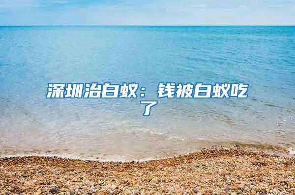 深圳治白蚁：钱被白蚁吃了