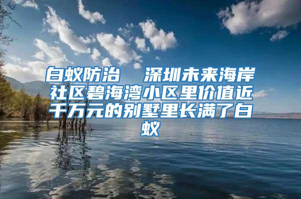 白蚁防治  深圳未来海岸社区碧海湾小区里价值近千万元的别墅里长满了白蚁