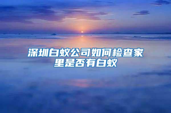 深圳白蚁公司如何检查家里是否有白蚁