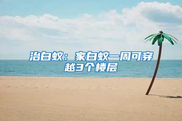 治白蚁：家白蚁一周可穿越3个楼层