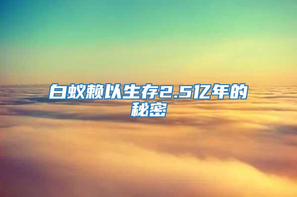 白蚁赖以生存2.5亿年的秘密