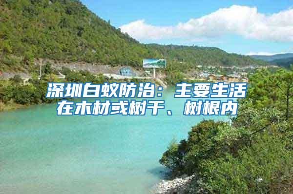 深圳白蚁防治：主要生活在木材或树干、树根内