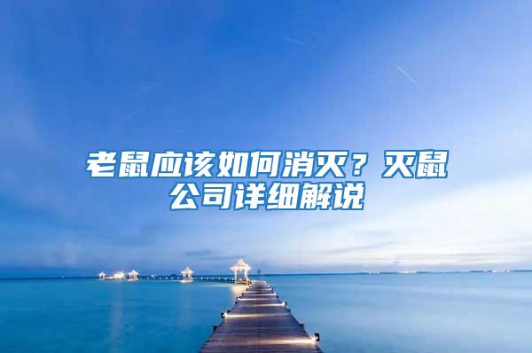 老鼠应该如何消灭？灭鼠公司详细解说