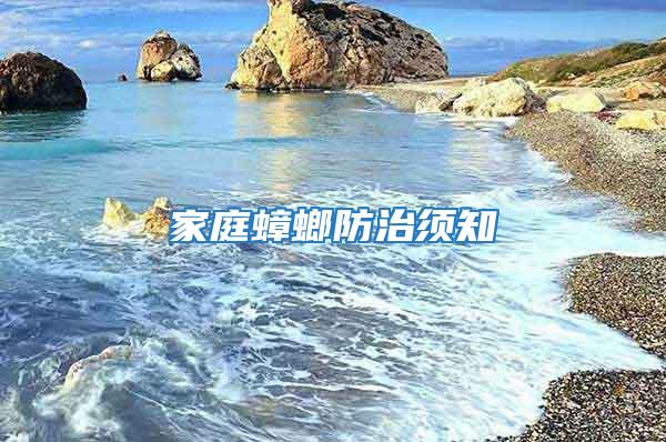 家庭蟑螂防治须知