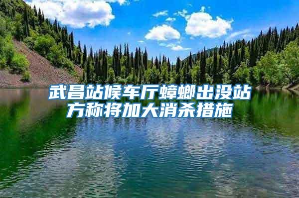 武昌站候车厅蟑螂出没站方称将加大消杀措施