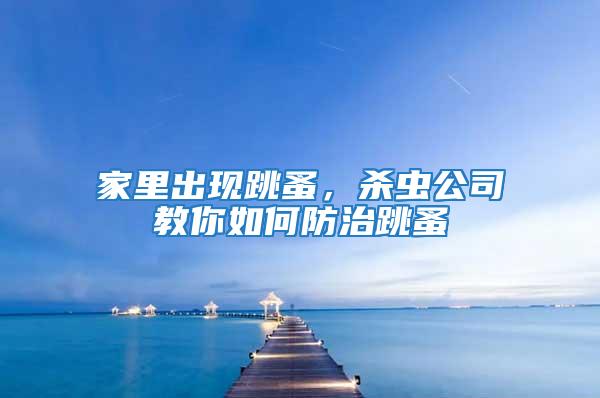 家里出现跳蚤，杀虫公司教你如何防治跳蚤