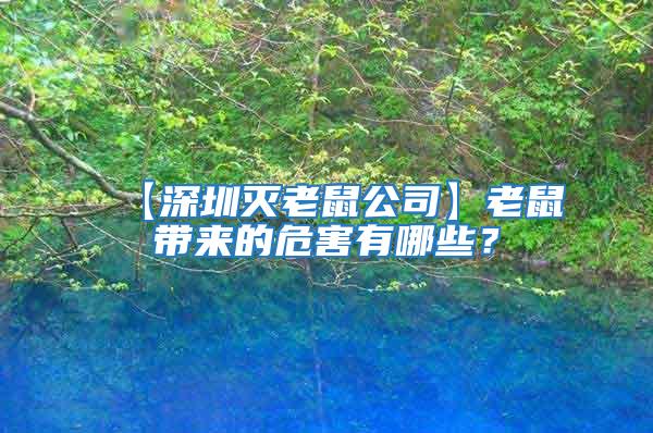 【深圳灭老鼠公司】老鼠带来的危害有哪些？