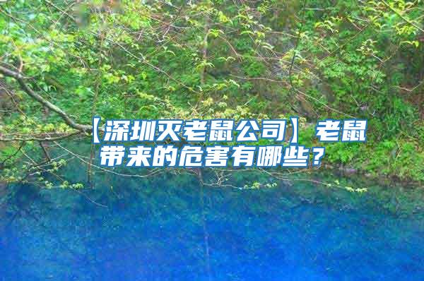 【深圳灭老鼠公司】老鼠带来的危害有哪些？