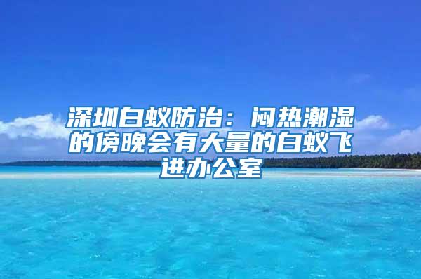 深圳白蚁防治：闷热潮湿的傍晚会有大量的白蚁飞进办公室