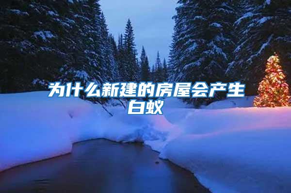 为什么新建的房屋会产生白蚁