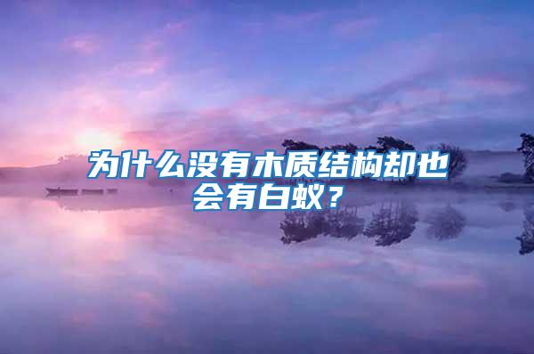 为什么没有木质结构却也会有白蚁？