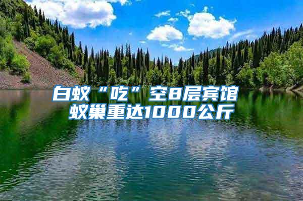 白蚁“吃”空8层宾馆 蚁巢重达1000公斤