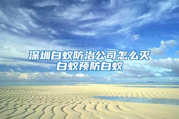 深圳白蚁防治公司怎么灭白蚁预防白蚁