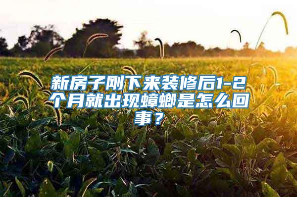 新房子刚下来装修后1-2个月就出现蟑螂是怎么回事？