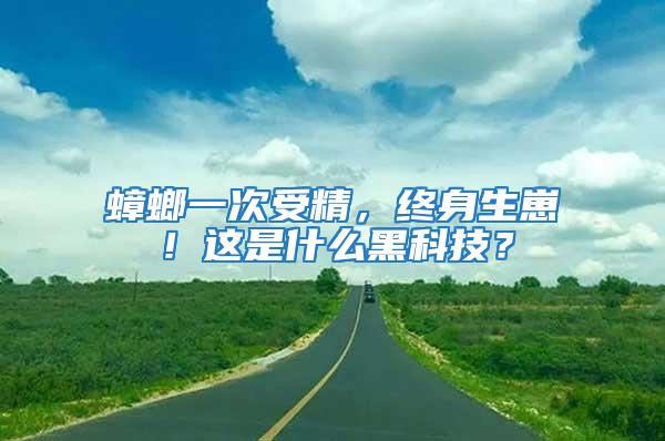 蟑螂一次受精，终身生崽！这是什么黑科技？