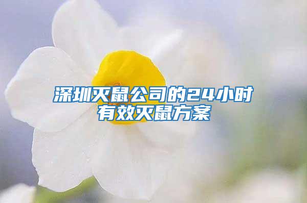 深圳灭鼠公司的24小时有效灭鼠方案