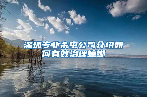 深圳专业杀虫公司介绍如何有效治理蟑螂