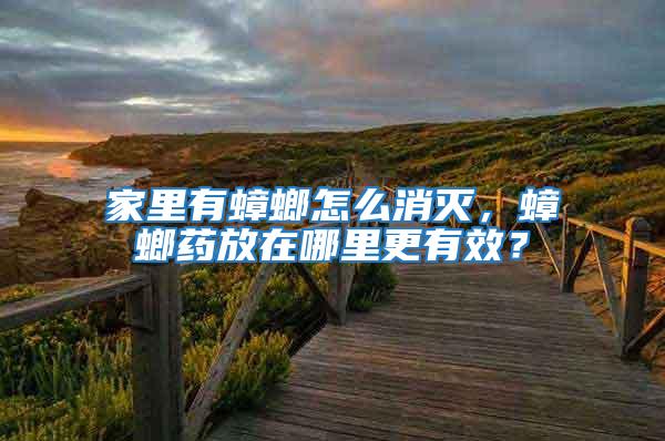 家里有蟑螂怎么消灭，蟑螂药放在哪里更有效？