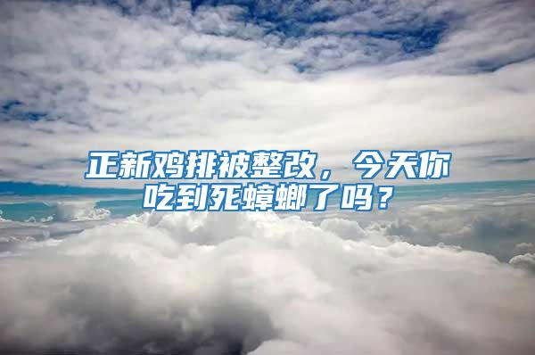 正新鸡排被整改，今天你吃到死蟑螂了吗？