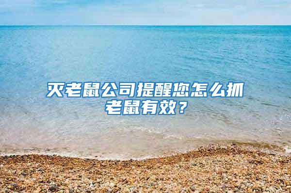 灭老鼠公司提醒您怎么抓老鼠有效？