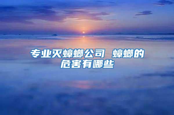 专业灭蟑螂公司 蟑螂的危害有哪些