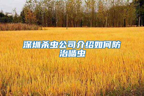 深圳杀虫公司介绍如何防治啮虫