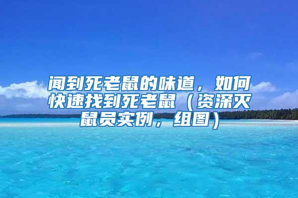 闻到死老鼠的味道，如何快速找到死老鼠（资深灭鼠员实例，组图）