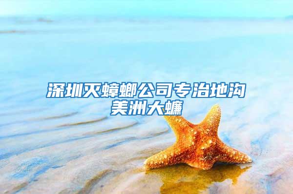 深圳灭蟑螂公司专治地沟美洲大蠊