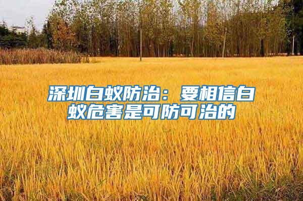 深圳白蚁防治：要相信白蚁危害是可防可治的