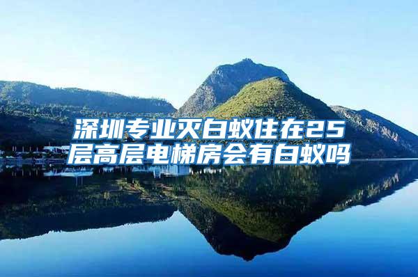 深圳专业灭白蚁住在25层高层电梯房会有白蚁吗