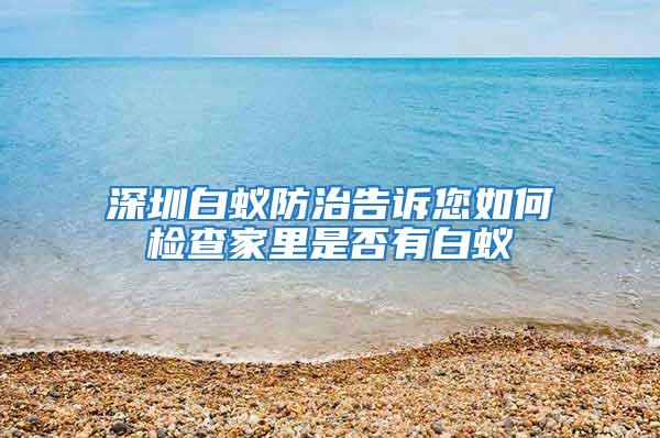 深圳白蚁防治告诉您如何检查家里是否有白蚁