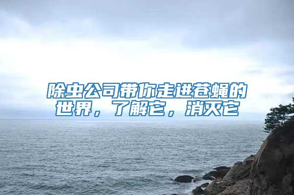 除虫公司带你走进苍蝇的世界，了解它，消灭它