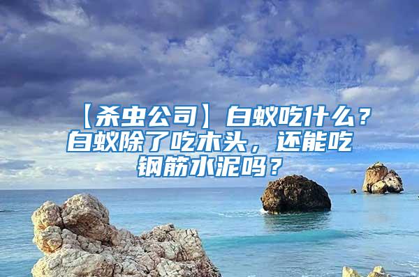 【杀虫公司】白蚁吃什么？白蚁除了吃木头，还能吃钢筋水泥吗？