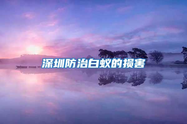 深圳防治白蚁的损害