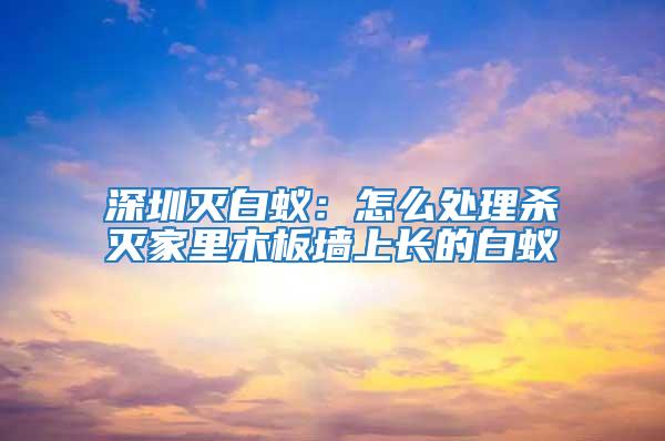 深圳灭白蚁：怎么处理杀灭家里木板墙上长的白蚁
