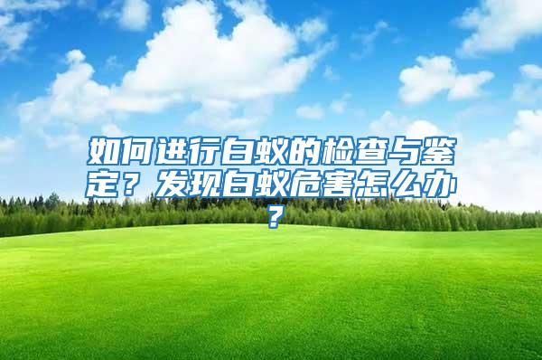 如何进行白蚁的检查与鉴定？发现白蚁危害怎么办？