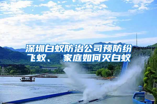 深圳白蚁防治公司预防纷飞蚁、 家庭如何灭白蚁