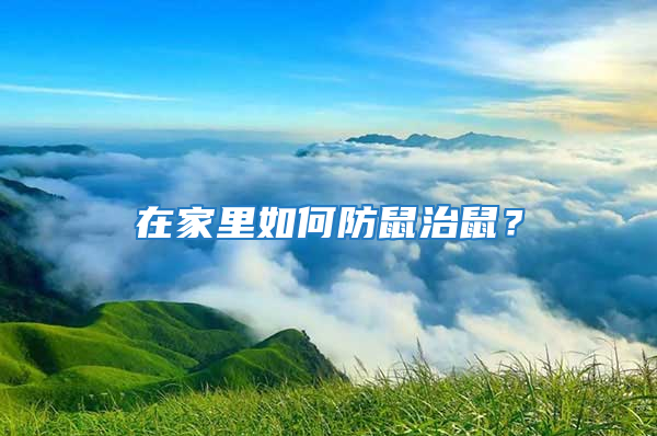 在家里如何防鼠治鼠？