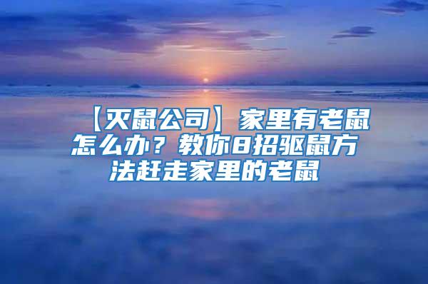 【灭鼠公司】家里有老鼠怎么办？教你8招驱鼠方法赶走家里的老鼠