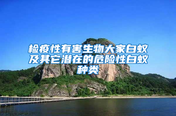 检疫性有害生物大家白蚁及其它潜在的危险性白蚁种类