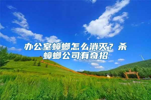 办公室蟑螂怎么消灭？杀蟑螂公司有奇招