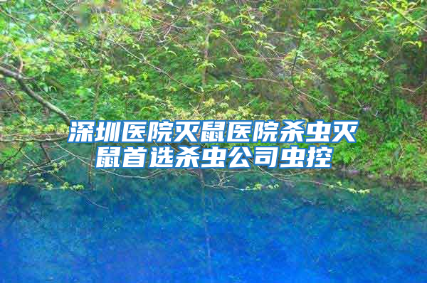 深圳医院灭鼠医院杀虫灭鼠首选杀虫公司虫控