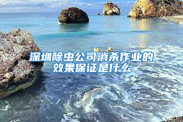 深圳除虫公司消杀作业的效果保证是什么