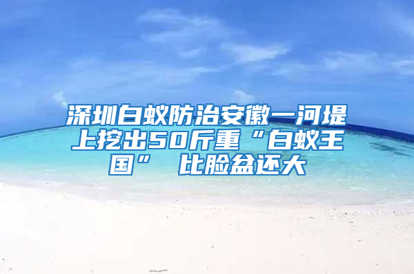 深圳白蚁防治安徽一河堤上挖出50斤重“白蚁王国” 比脸盆还大