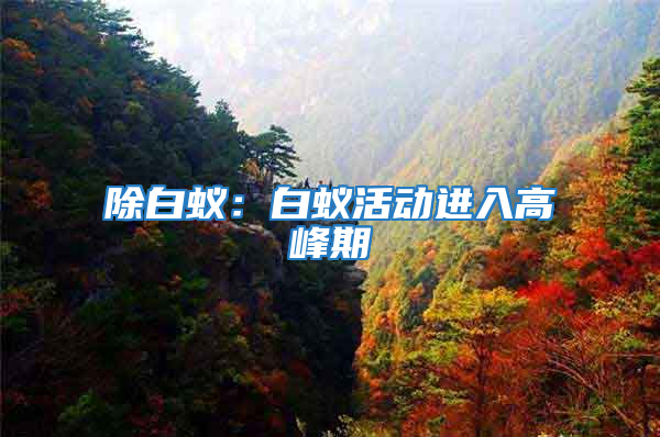 除白蚁：白蚁活动进入高峰期