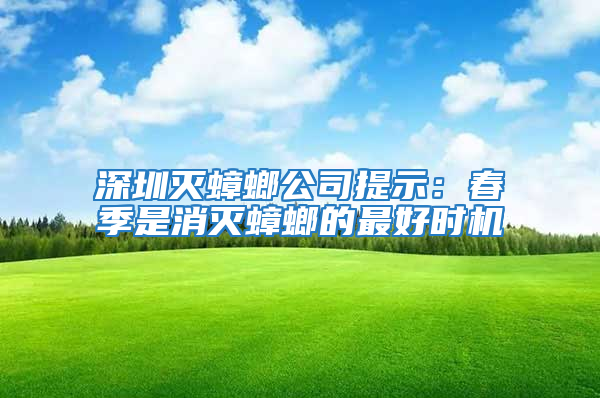 深圳灭蟑螂公司提示：春季是消灭蟑螂的最好时机